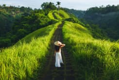 Ubud Full Day Tour