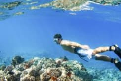 Blue Lagoon Snorkeling