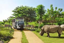 Bali Safari And Marine Park